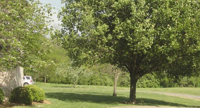 Versailles Rabbit Creek Bed & Breakfast מראה חיצוני תמונה